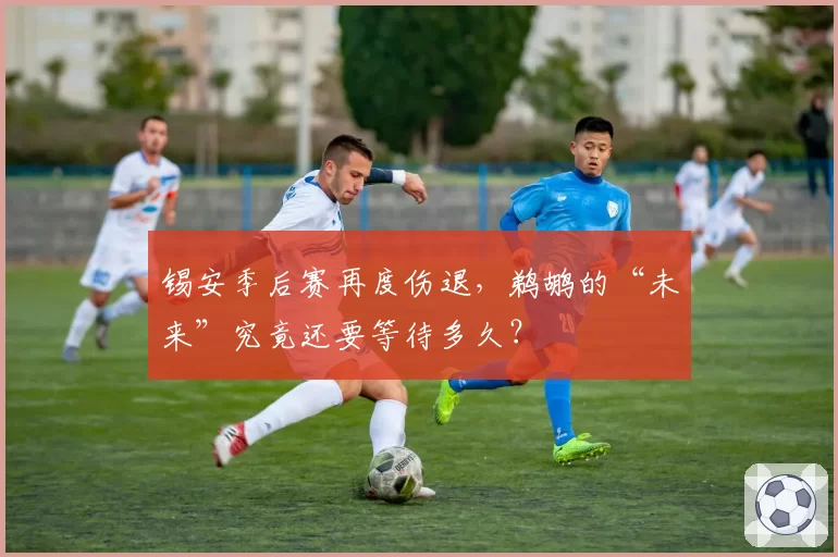 锡安季后赛再度伤退，鹈鹕的“未来”究竟还要等待多久？