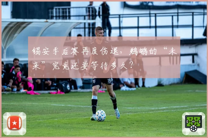 锡安季后赛再度伤退，鹈鹕的“未来”究竟还要等待多久？
