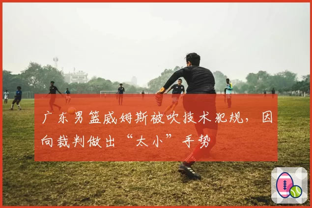 广东男篮威姆斯被吹技术犯规，因向裁判做出“太小”手势