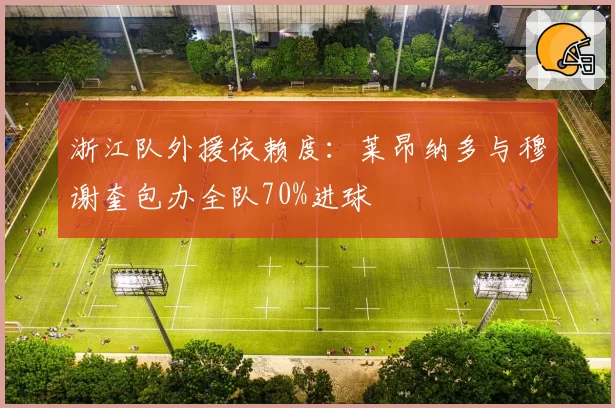 浙江队外援依赖度：莱昂纳多与穆谢奎包办全队70%进球